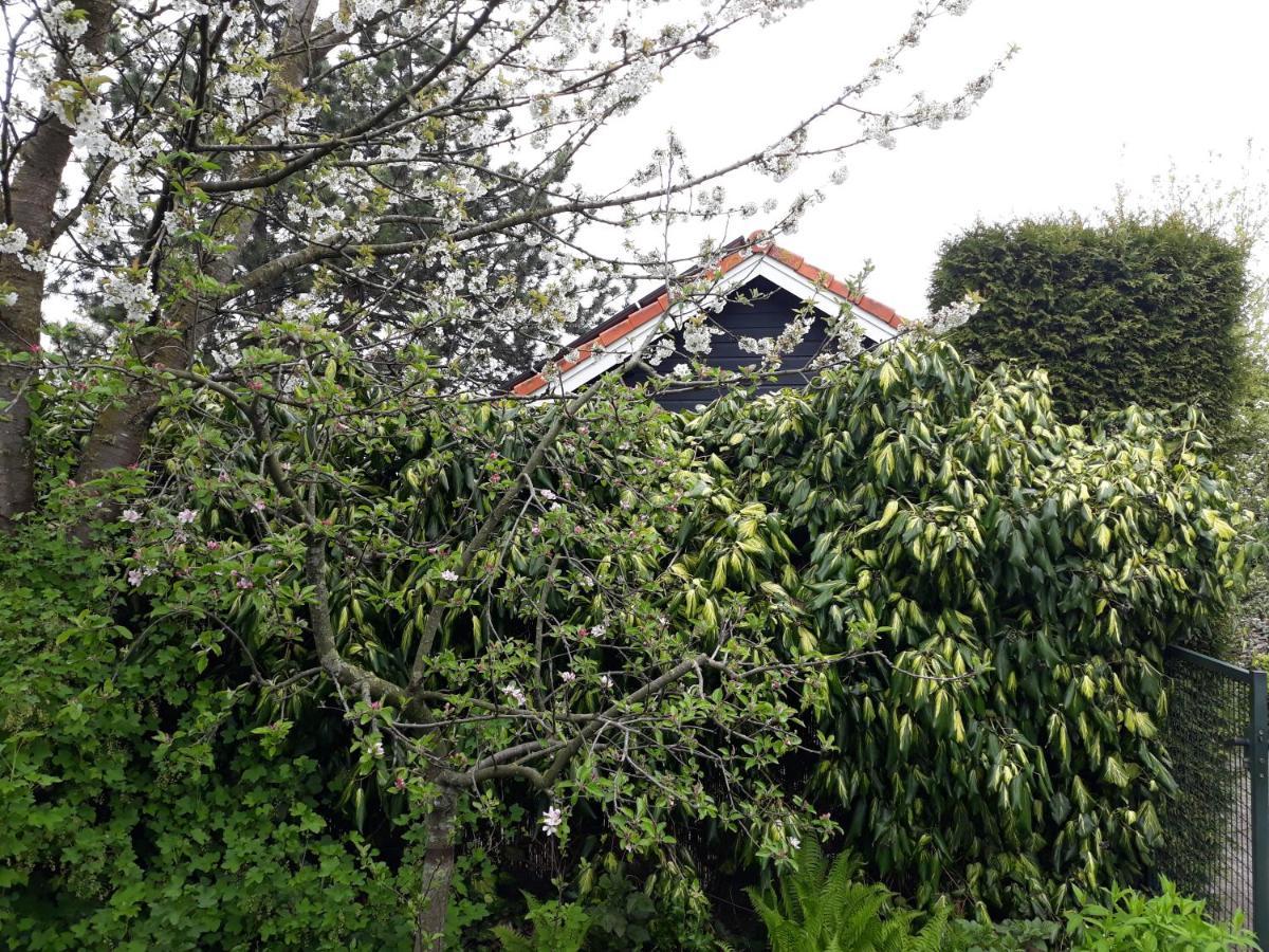 Vakantiehuisje Achter Odiliapeel Εξωτερικό φωτογραφία